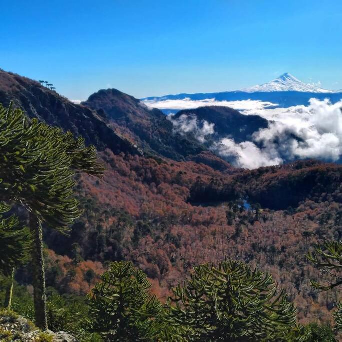Casa Azul Conguillio * Melipeuco